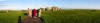 4927_panC.jpg (81 KB)