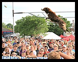 Brandy at the Cherry Fest 2008